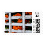 San Miguel de Allende Flowers Stamps