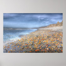 San Onofre Rocky Beach Poster
