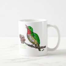 San Pedrito de Puerto Rico/Puerto Rican Tody Mug
