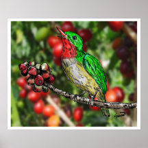 San Pedrito de Puerto Rico/ Puerto Rican Tody Poster