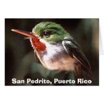 San Pedrito, San Pedrito, Puerto Rico cards by jesabel San Pedrito, San Pedrito, Puerto Rico cards