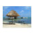 beach, belize, ocean, tropical, island, nature,