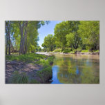 San Pedro River near Fairbank Posters