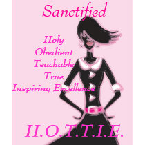 Sanctified HOTTIE t-shirts