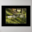 SANCTUARY Art Poster posters
