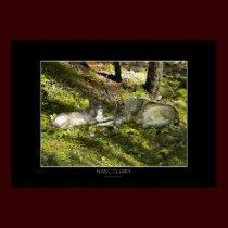SANCTUARY Art Poster posters by RavenSpiritPrints SANCTUARY Art Poster posters