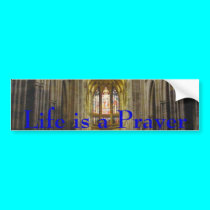 Sanctuary bumper stickers