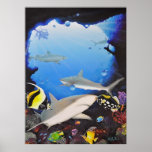 Sanctuary of the Shark Poster