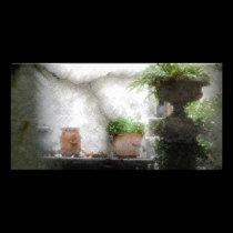 Sanctuary photo cards