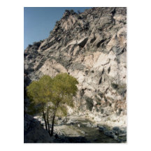 Sanctuary Post Cards