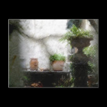 Sanctuary postcards