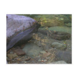 Sanctuary Postcards