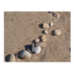 Sand and Pebbles Postcard