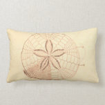 Sand Dollar Beach Illustration Throw Pillows