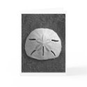 Sand Dollar (Black and White) Card