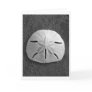 Sand Dollar (Black and White) Card