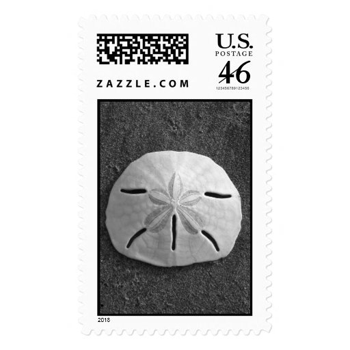 Sand Dollar (Black and White) Stamp