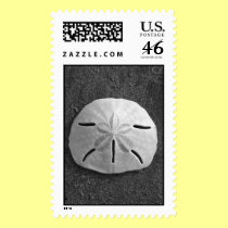 Sand Dollar (Black and White) Stamp stamps