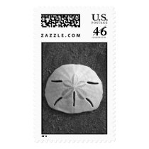 Sand Dollar (Black and White) Stamp