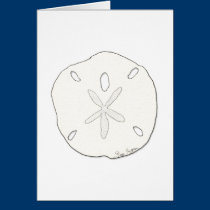 Sand Dollar Cards cards