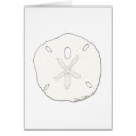Sand Dollar Cards