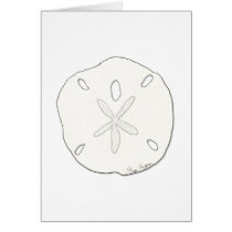 Sand Dollar Cards