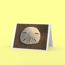 Sand Dollar (Color) Card cards