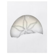 Sand Dollar flyers