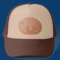 Sand Dollar hats