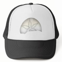 Sand Dollar hats