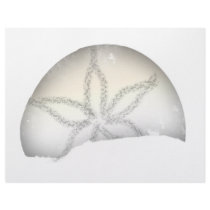 Sand Dollar letterhead