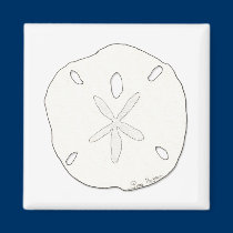 Sand Dollar Magnet magnets