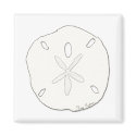 Sand Dollar Magnet