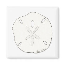 Sand Dollar Magnet