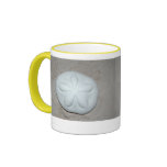 Sand Dollar mugs