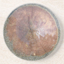 Sand Dollar on Unalaska Island Beverage Coasters