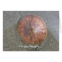 Sand Dollar on Unalaska Island Greeting Cards