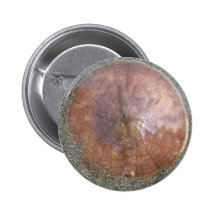 Sand Dollar on Unalaska Island Pinback Button