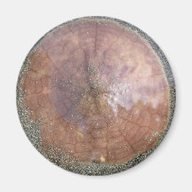 Sand Dollar on Unalaska Island Refrigerator Magnet