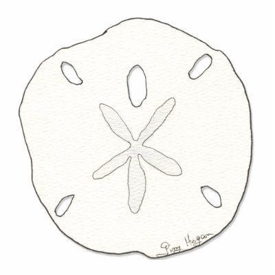 Sand Dollar Photo Sculpture by ginyhogan