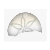 Sand Dollar postcards