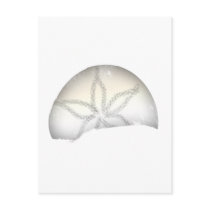 Sand Dollar postcards