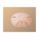 Sand Dollar postcards