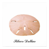 Sand Dollar posters by roimim Sand Dollar posters