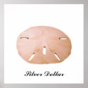 Sand Dollar posters