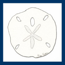 Sand Dollar Posters & Prints