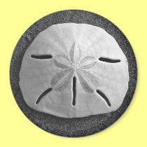 Sand Dollar Sea Shell Beach Magnet magnets