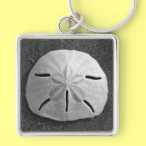 Sand Dollar Sea Shell Ocean Beach Keychain keychains