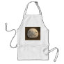 Sand Dollar Sea Shell Sand Beach Apron