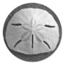Sand Dollar Seashell Beach Sticker